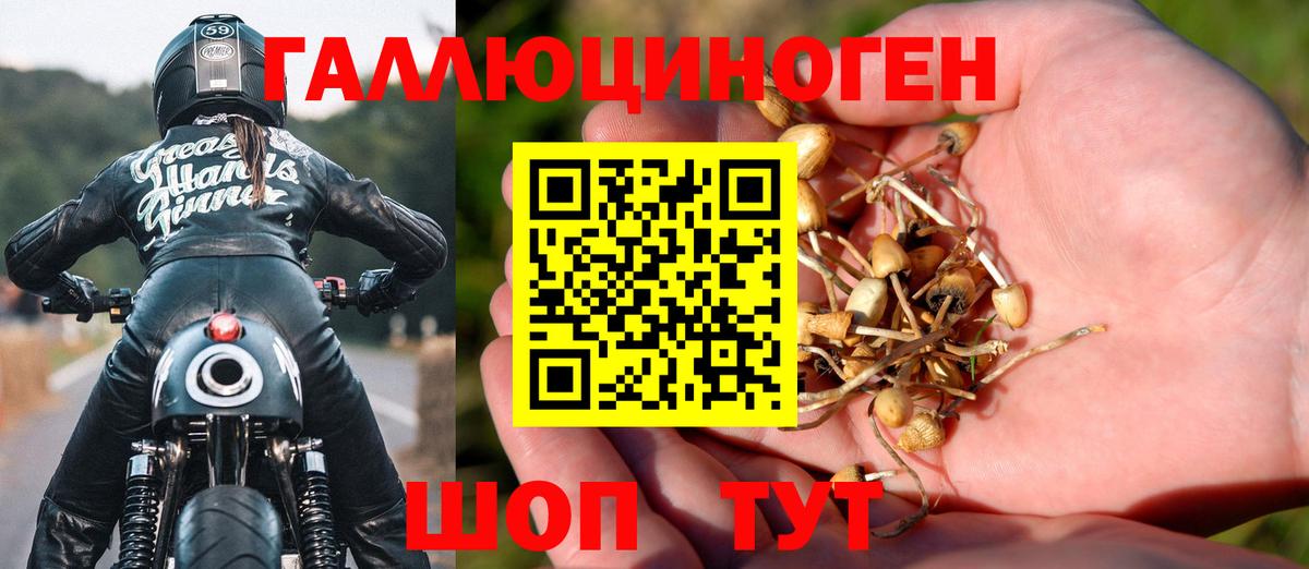 Галлюциногенные грибы GOLDEN TEACHER Арсеньев