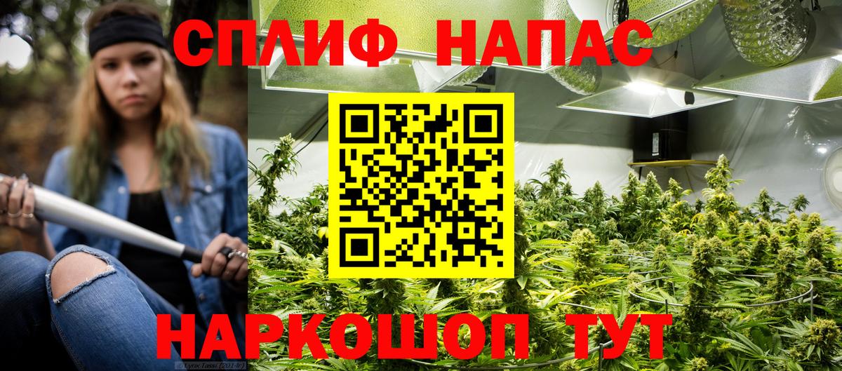Конопля MAZAR Арсеньев